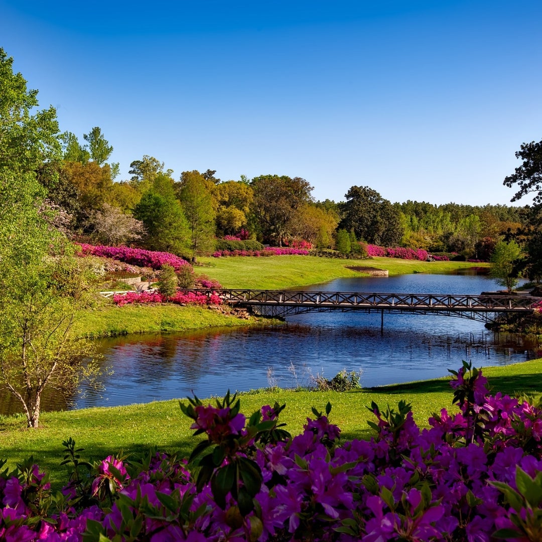 4 Your Weekend Getaway for Music and Entertainment.jpg