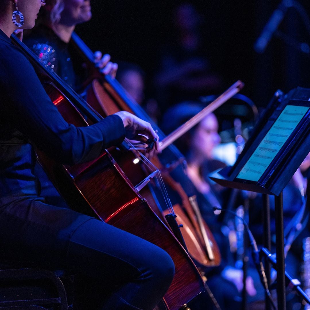 POP orchestra at past show